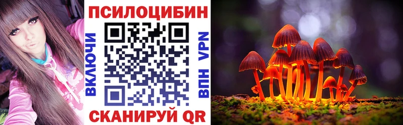 Купить  Городец  Галлюциногенные грибы Cubensis 